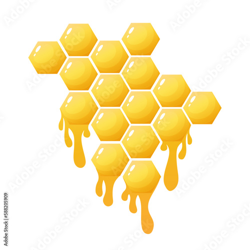 honeycomb with honey