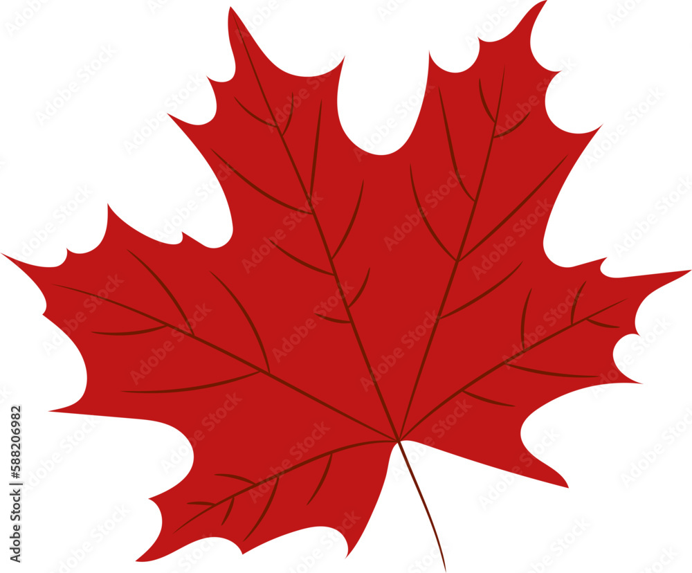 Fototapeta premium Autumn Leaves
