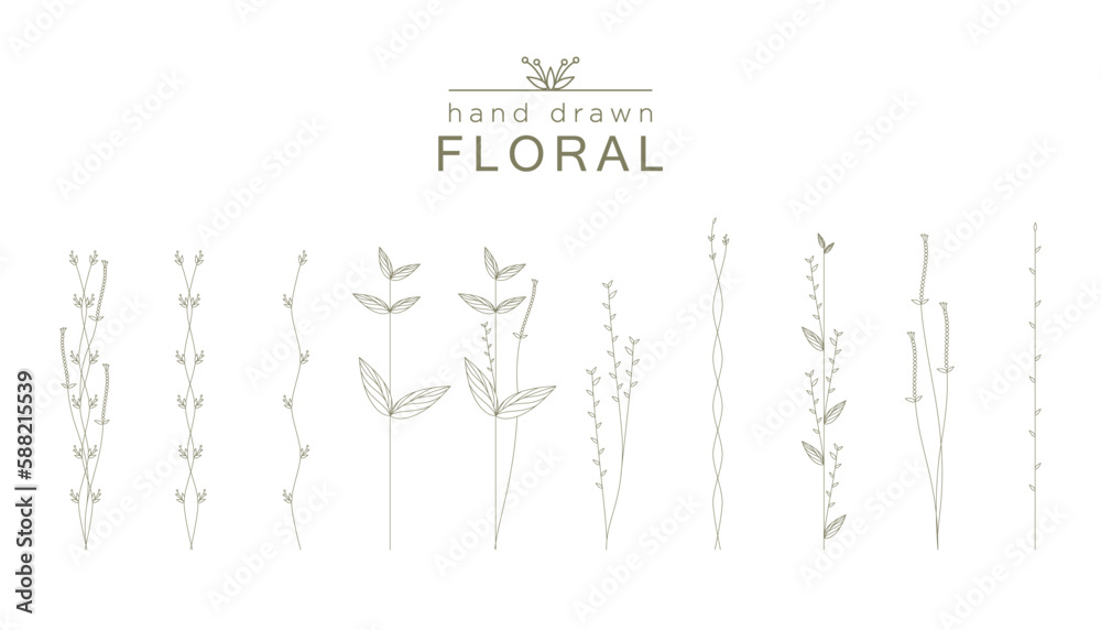 Dark green silhouettes of flowers and medicinal plants isolated on white background. Hand drawn floral outline sketch.