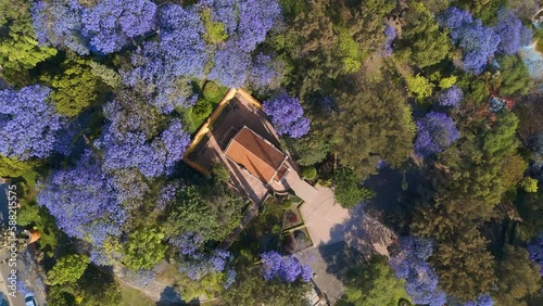 aerial view of cerro de las campanas in queretaro, spring green and blue trees during sunset tourist area important point photo