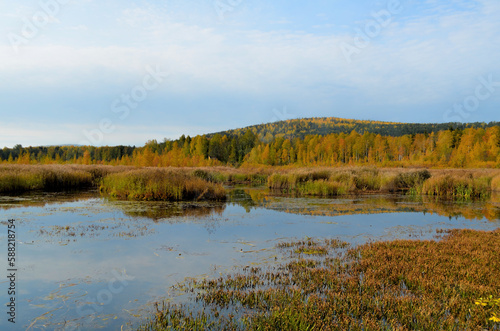 Autumn landscape. Mountains covered with forest. Mirror surface of the lake.