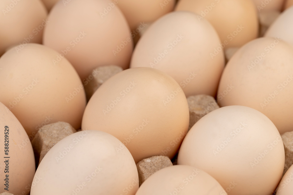 Tray with a large number of white chicken eggs Tray with a large number of white chicken eggs