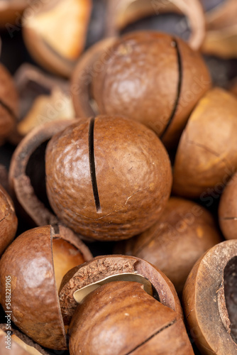 A bunch of ripe macadamia nuts in a hard shell