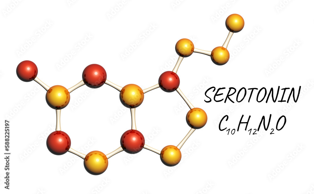 Obraz premium Chemical formula of Serotonin - happiness hormone. Molecular model of Serotonin hormone. Isolated on white background