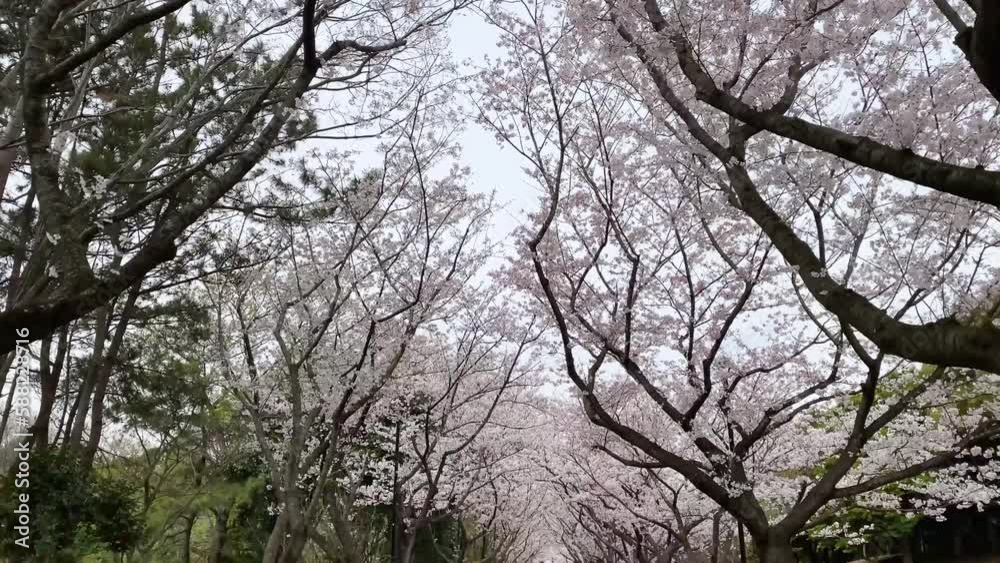 Tokyo Tokyo
