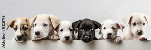 Different puppies peeks out from behind a white wall  Generative AI