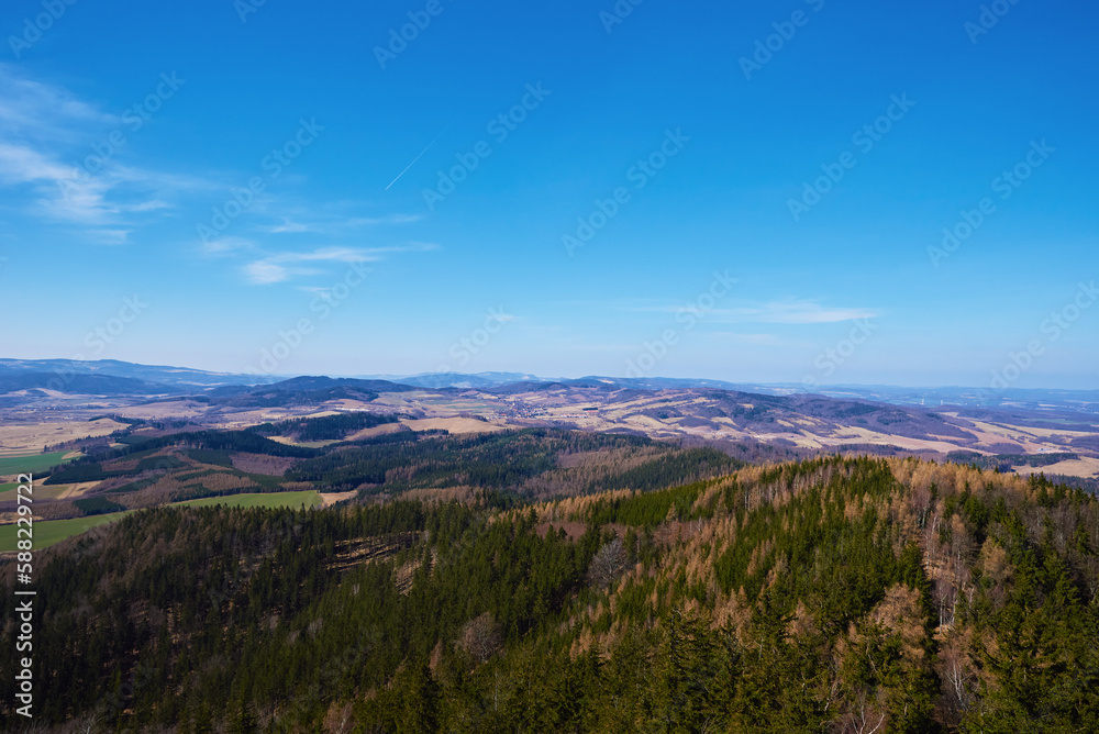 Beautiful mountains covered with evergreen forest on sunny day. Natural landscape with mountain ranges and valleys