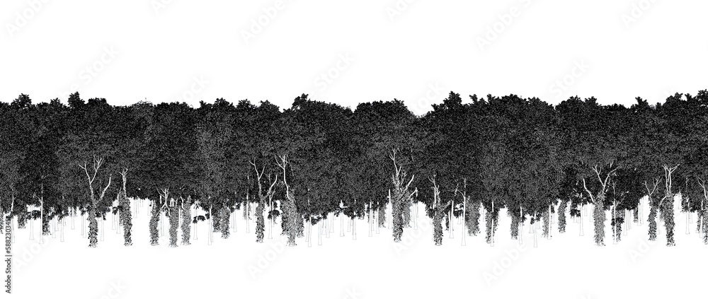 trees in the forest isolated on white background, sketch, outline illustration, cg render trees in the forest isolated on white background, sketch, outline illustration, cg render