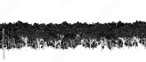 Fototapeta Naklejka Na Ścianę i Meble -  trees in the forest isolated on white background, sketch, outline illustration, cg render