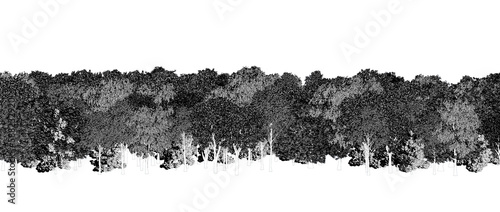 Fototapeta Naklejka Na Ścianę i Meble -  trees in the forest isolated on a transparent background, sketch, outline illustration, cg render