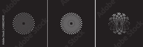Fototapeta Naklejka Na Ścianę i Meble -  black and white background vector, Dotted vortex 3 versions
