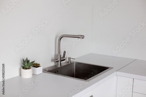 Kitchen interior in white color with sink and plant in white pots. 