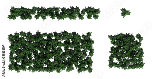 trees in the forest, top view, area view, isolated on transparent background, 3D illustration, cg render