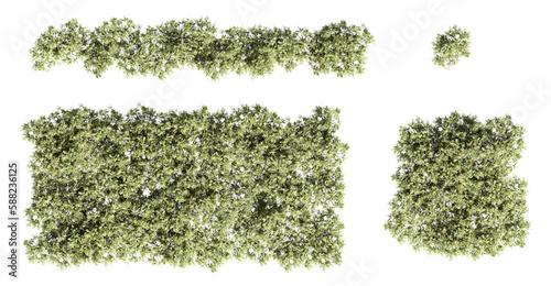 trees in the forest, top view, area view, isolated on transparent background, 3D illustration, cg render