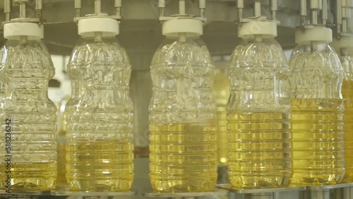 Factory Production Equipment Filling Sunflower Oil Into the Bottles-4K photo