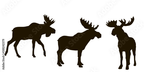 Animals  moose. Black and white image  silhouette. Vector drawing.