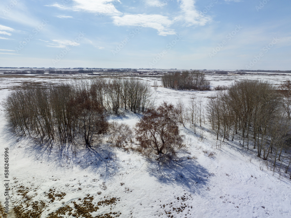 The landscape of Kazakh steppe includes small pockets of forest. Early in the spring. An aerial top view. The landscape of Kazakh steppe includes small pockets of forest. Early in the spring. An aerial top view.