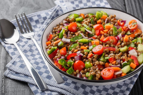 Vegetarian salad with boiled lentils, tomatoes, peppers, cucumbers, onions seasoned with olive oil close-up in a plate on a wooden table. Horizontal