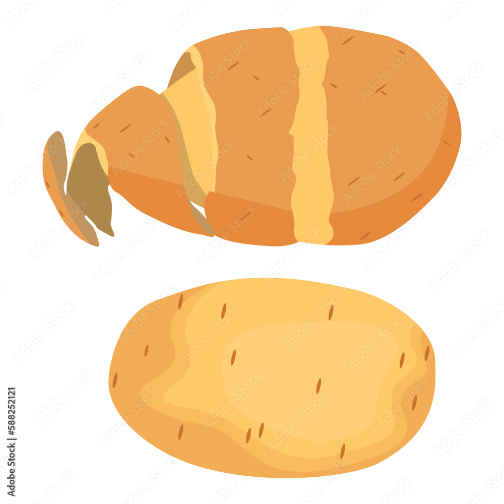 Vector illustration of potato, set of fresh whole and sliced potatoes isolated on white background. Half peeled potato with the twirling skin peel over it, chip, chips Vector illustration of potato, set of fresh whole and sliced potatoes isolated on white background. Half peeled potato with the twirling skin peel over it, chip, chips