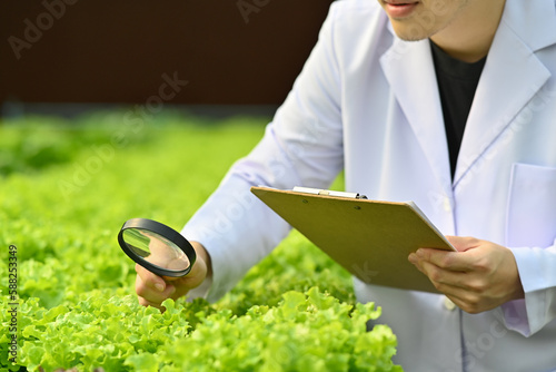 Cropped shot of agricultural researcher observing organic vegetable with magnifying glass in industrial greenhouse photo