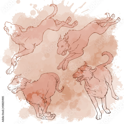 The Irish Wolfhound dogs pack in a different running positions. Set of black line drawings isolated on white background. EPS 10 vector illustration.