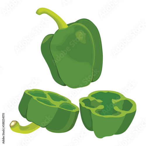 Vector illustration of green pepper, red pepper, sliced cartoon design. Paprika. Pepper red. Bell pepper isolated. Sweet red peppers. 