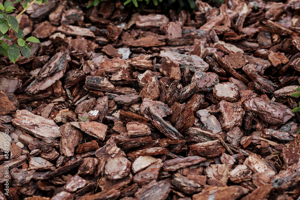 Wood chips for landscaping.