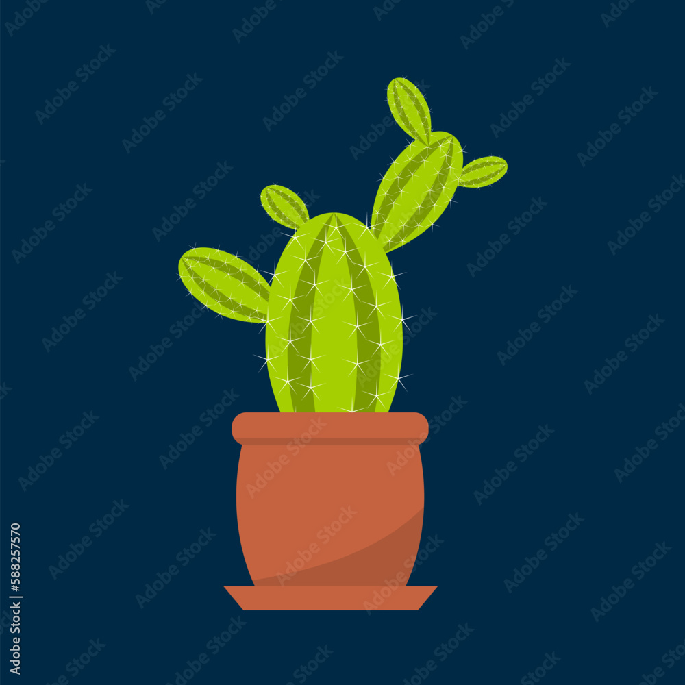 Houseplant cactus in a pot, natural decor for home and interior Houseplant cactus in a pot, natural decor for home and interior