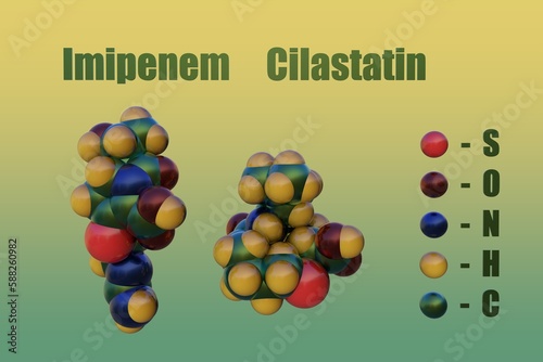 Imipenem and cilastatin. Space-filling molecular models. This injection is used to treat serious bacterial infections, including endocarditis, abdominal, gynecological and others. 3d illustration photo