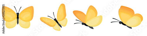 Vector image of multicolored butterflies. The concept of spring and summer. Colorful flying insects. An element for your design