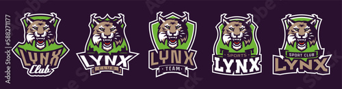 Set of sports logos with lynx mascots. Colorful collection sports emblem with lynx mascot and bold font on shield background. Logo for esport team, athletic club. Isolated vector illustration
