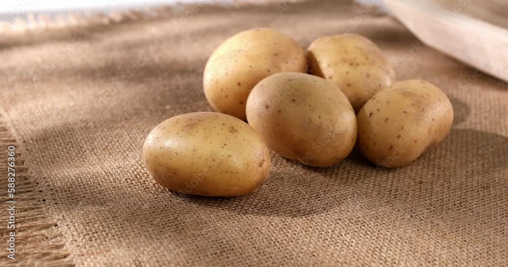 fresh potatoes on burlap. vegetables on the table. deerevensky still life. farm products close-up. potato harvest. fresh potatoes on burlap. vegetables on the table. deerevensky still life. farm products close-up. potato harvest.