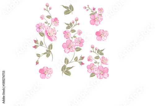 Sakura flowers. Spring background. Vector illustration.