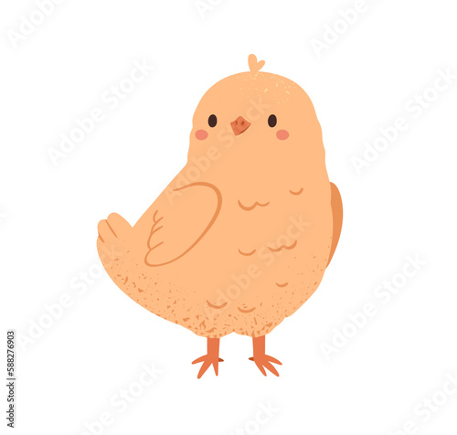 Cute yellow chicken. Funny small chick. Happy adorable newborn baby bird standing. Charming delicate sweet little character, poultry. Flat vector illustration isolated on white background