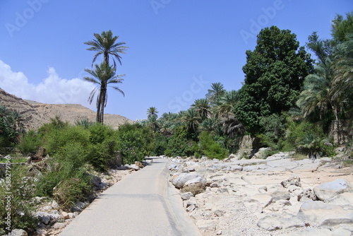 Das trockene Flußbett im Wadi Bani Khalid im Oman photo