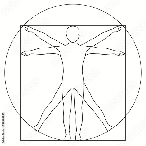 Vinci, icon Vetruvian Man, vector human body anatomy