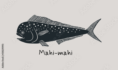 Hand drawn mahi-mahi fish in sketch style. Simple vector isolated illustration on beige background