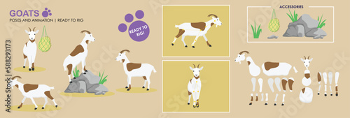 Fototapeta Naklejka Na Ścianę i Meble -  Goat vector ready to rig for animation. White mountain goat collection, multiple poses, cute character.	
