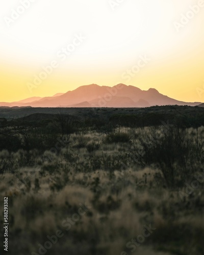 Vertical shot of the rocks at sunset