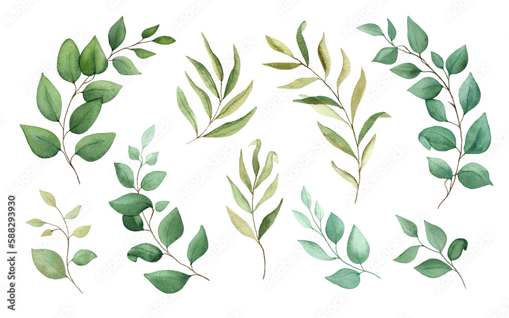 Set of watercolor green branches.