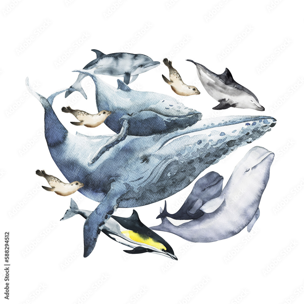 Fototapeta premium Watercolor cute whale . Hand painting postcard with whale isolated white background. Cute ocean animals.