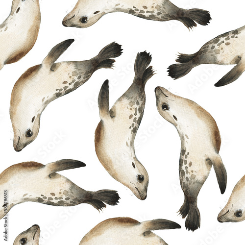 Watercolor cute sea lions pattern. Hand painting postcard with sea lions isolated white background. Ocean animals.