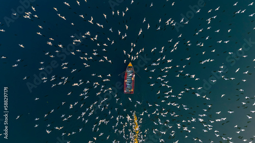Aerial view of a boat sailing along the Yamuna river at sunset surrounded by seagulls along the coast in New Delhi, India. photo