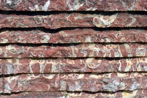 Limestone with rudistas sta...