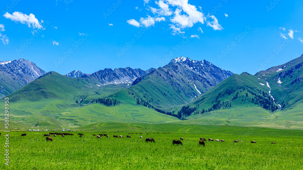 Green grassland natural landscape in Xinjiang, China.