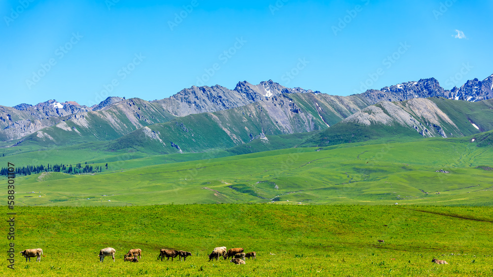 Green grassland pasture and mountain natural scenery in Xinjiang, China.