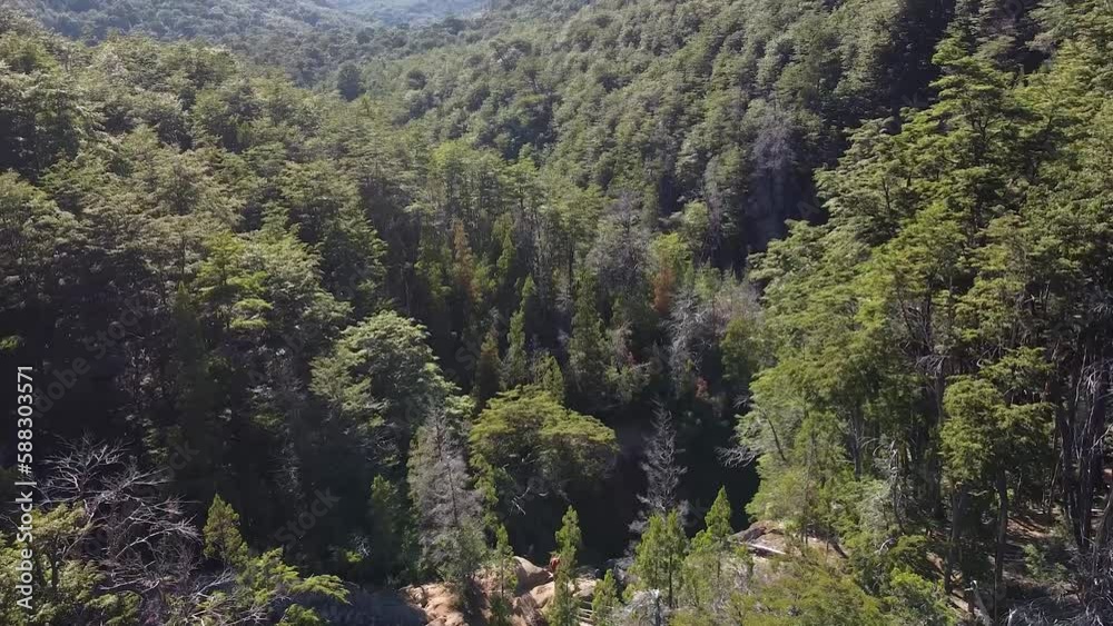 Aerial shot over the trees of a forest. Cajón Del Azul, El Bolsón Aerial shot over the trees of a forest. Cajón Del Azul, El Bolsón