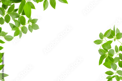 Green Leaves Isolated On White Background