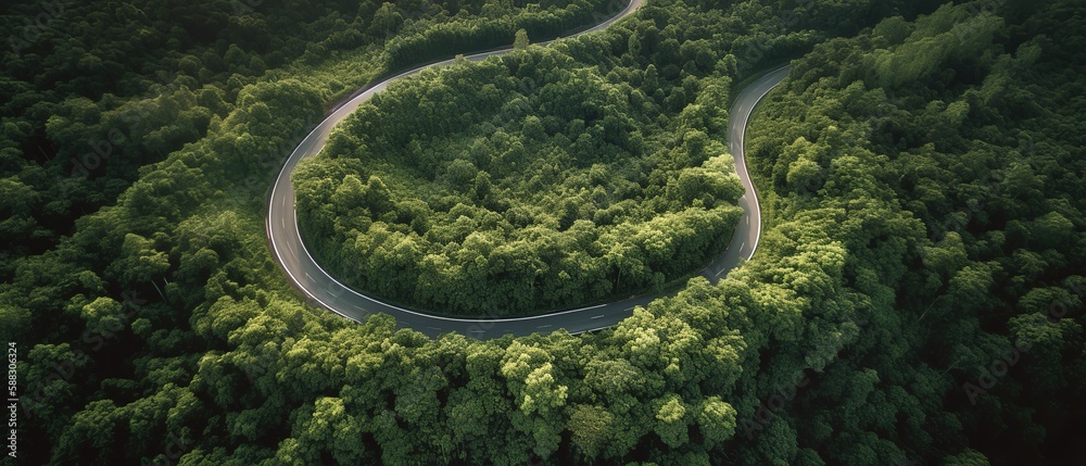 Bird's-eye view of the road in the middle of the forest.Aerial view. Panoramic shot. Generative AI