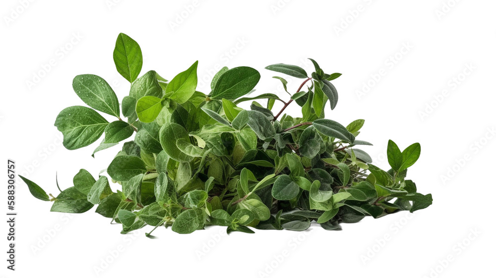 Fototapeta premium 植物, 部品, ハーブ, green leaves, 緑